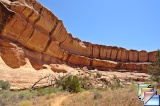 Grand Gulch: Collins Canyon